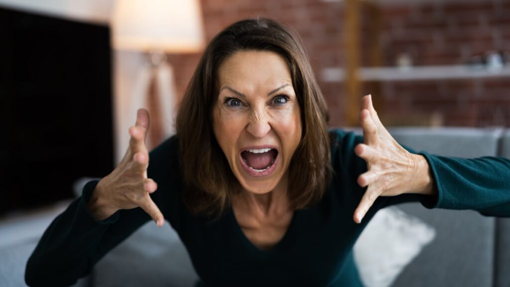 Workplace Quarrel. Angry Looking Woman In Video Conference.